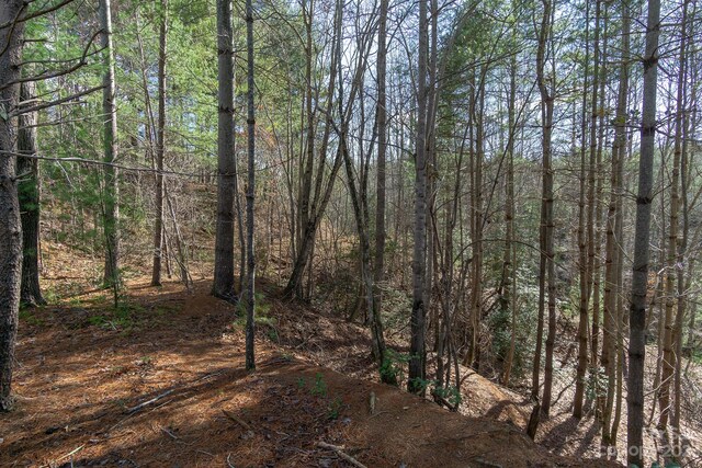 V/L Sunset Point Parkway Unit 31, Marion, NC 28752