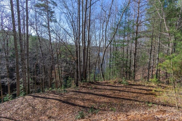 V/L Sunset Point Parkway Unit 31, Marion, NC 28752