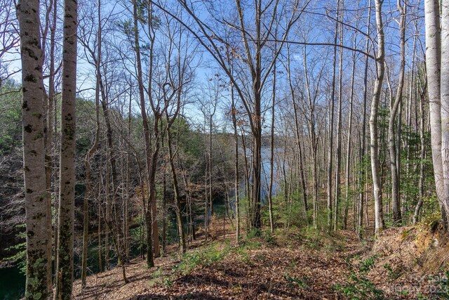 V/L Sunset Point Parkway Unit 31, Marion, NC 28752
