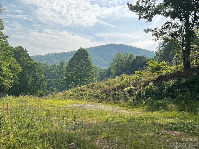 76 Dillingham Rd, Brevard NC, 28712 land for sale