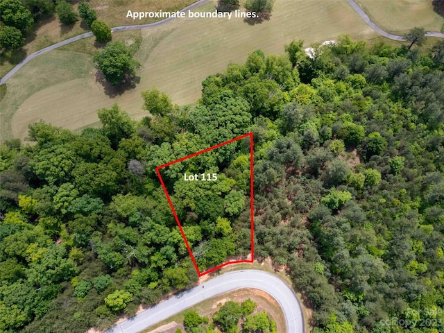 Listing photo 2 for LOT115 Deep Gap Farm Rd E, Mill Spring NC 28756