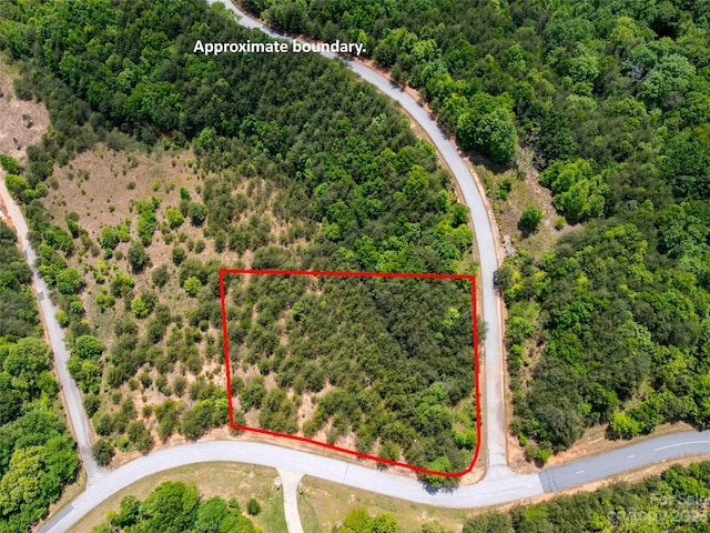 LOT150 Birkdale Dr, Mill Spring NC, 28756 land for sale