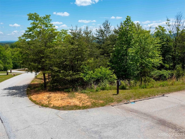 Listing photo 3 for LOT150 Birkdale Dr, Mill Spring NC 28756