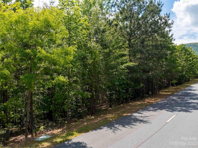 Listing photo 2 for LOT2009 Deep Gap Farm Rd W, Mill Spring NC 28756