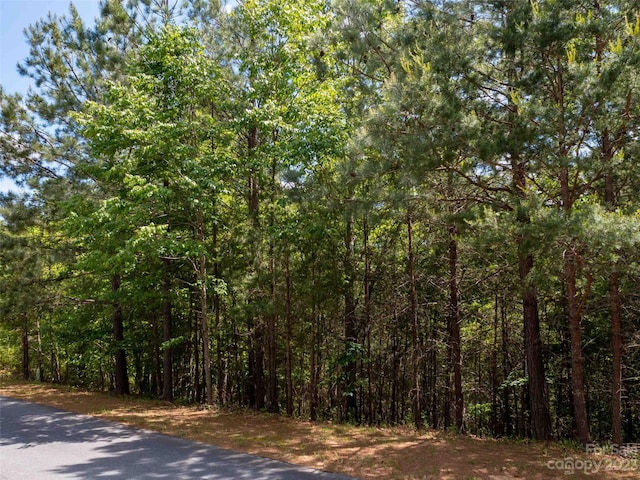 Listing photo 3 for LOT2009 Deep Gap Farm Rd W, Mill Spring NC 28756