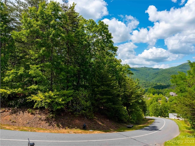 Listing photo 2 for LOT2012 Deep Gap Farm Rd E, Mill Spring NC 28756