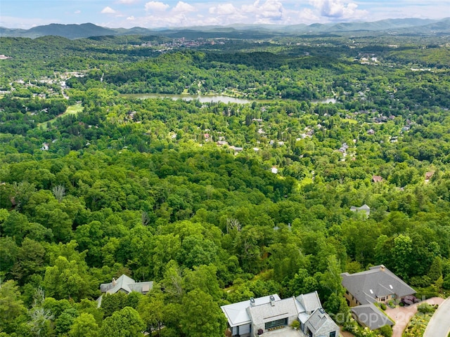 209 Senator Reynolds Rd, Asheville NC, 28804 land for sale