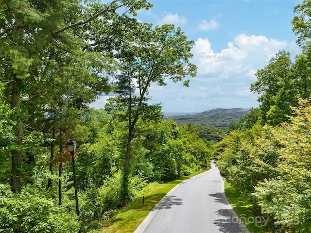 Listing photo 2 for 209 Senator Reynolds Rd, Asheville NC 28804