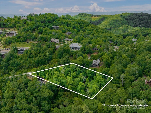 Listing photo 3 for 209 Senator Reynolds Rd, Asheville NC 28804