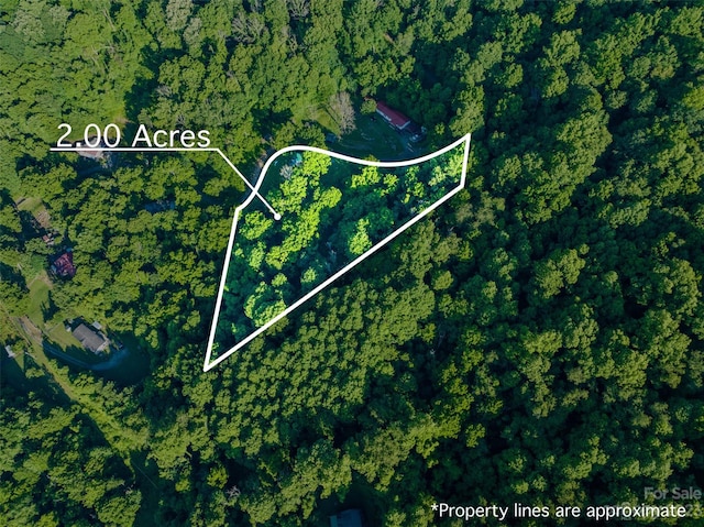 462 Lothlorian Rd, Waynesville NC, 28786 land for sale