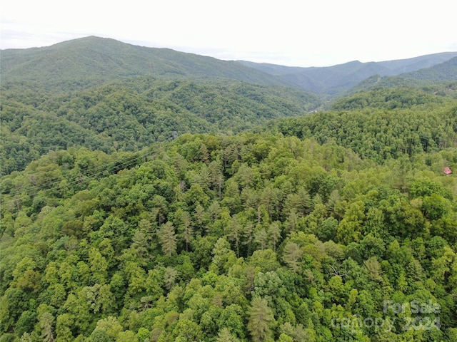 Listing photo 3 for 00000 Sams Branch Rd, Green Mountain NC 28740