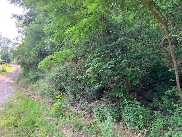 LOT454 Roberts Trl, Lake Lure NC, 28746 land for sale