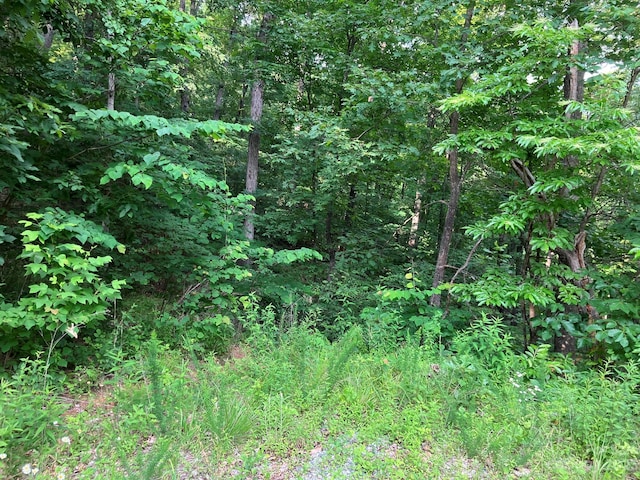 Listing photo 2 for LOT454 Roberts Trl, Lake Lure NC 28746