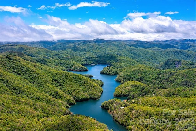 00 Vess Owen Road 16C & D, Tuckasegee NC, 28783 land for sale