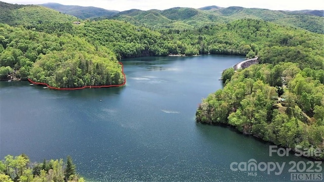 Listing photo 3 for 00 Vess Owen Road 16C & D, Tuckasegee NC 28783