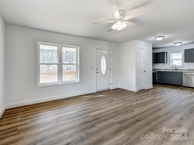 foyer with sink, dark hardwood / wood-style floors, and plenty of natural light