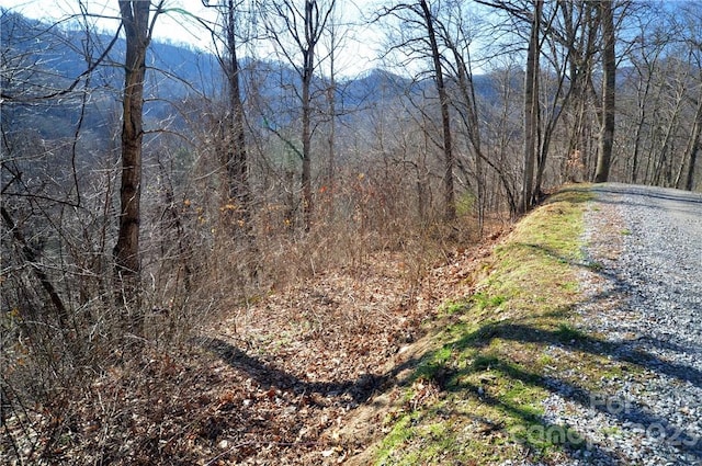 24 Lochmoor Ln, Waynesville NC, 28785 land for sale