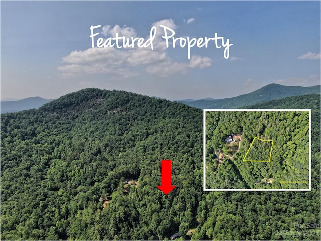 TBD Stiwinter Mountain Rd, Franklin NC, 28734 land for sale