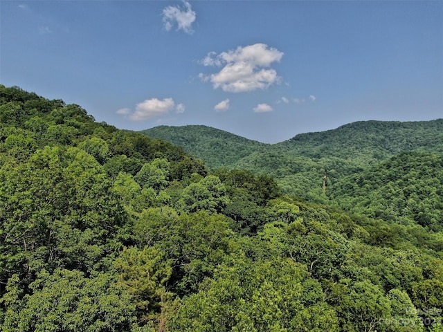 Listing photo 3 for TBD Stiwinter Mountain Rd, Franklin NC 28734