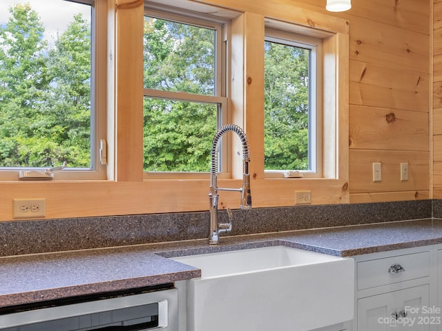 room details with dishwashing machine and vanity