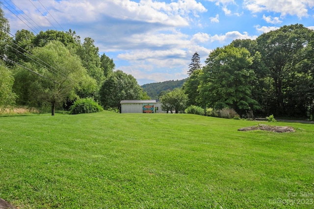 view of yard featuring a storage shed