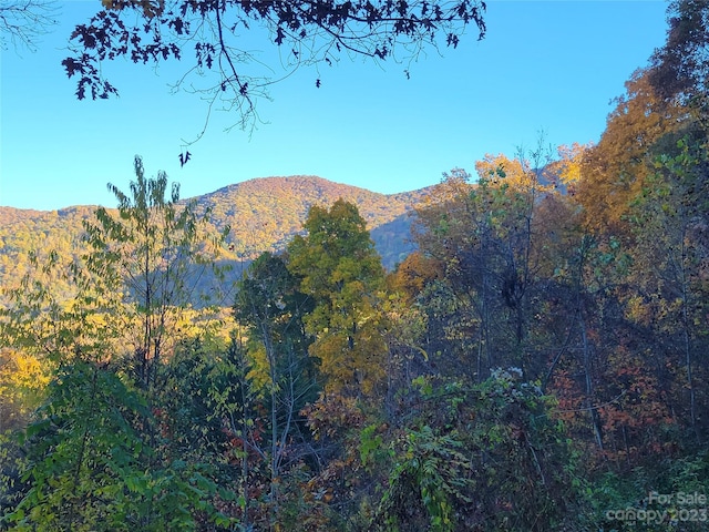 view of mountain feature