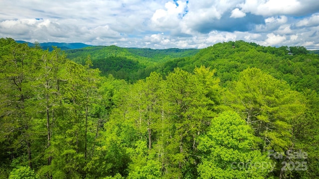 LOT1 Reynolds Pkwy, Ferguson, NC 28624 - photo 5