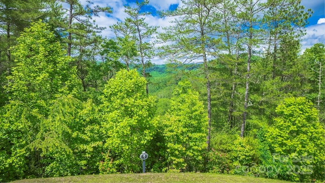 LOT1 Reynolds Pkwy, Ferguson, NC 28624 - photo 7