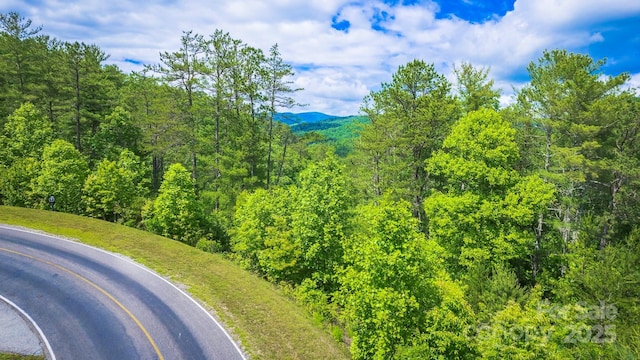 LOT1 Reynolds Pkwy, Ferguson, NC 28624 - photo 8