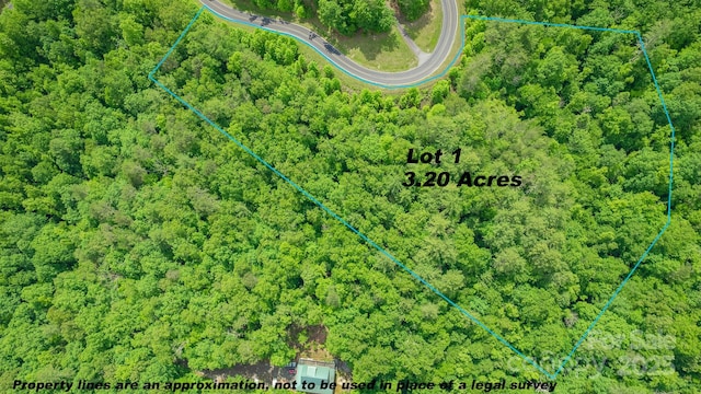 LOT1 Reynolds Pkwy, Ferguson, NC 28624 - photo 9