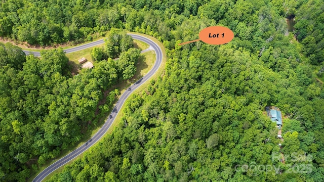 LOT1 Reynolds Pkwy, Ferguson, NC 28624 - photo 2