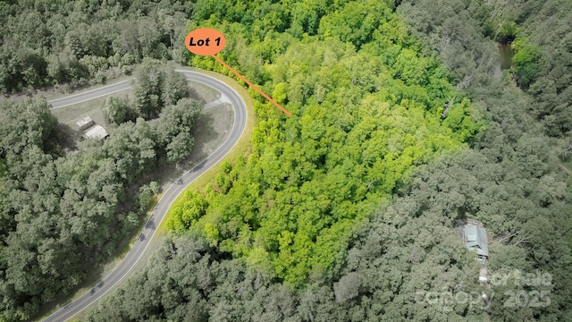 LOT1 Reynolds Pkwy, Ferguson, NC 28624 - photo 10