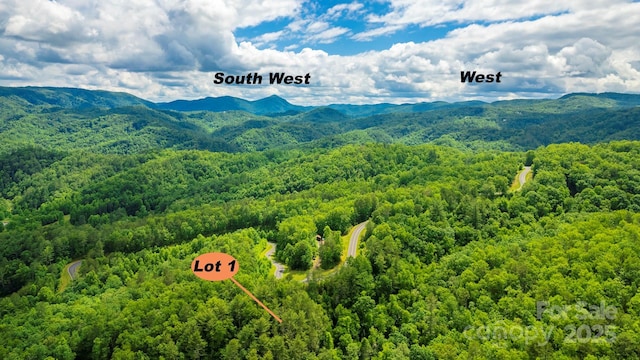 LOT1 Reynolds Pkwy, Ferguson, NC 28624 - photo 6