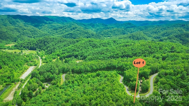 LOT1 Reynolds Pkwy, Ferguson, NC 28624 - photo 3