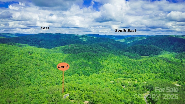 LOT1 Reynolds Pkwy, Ferguson, NC 28624 - photo 11