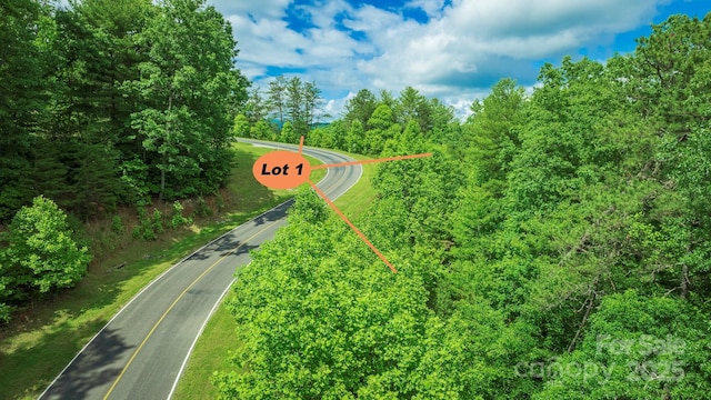LOT1 Reynolds Pkwy, Ferguson, NC 28624 - photo 12