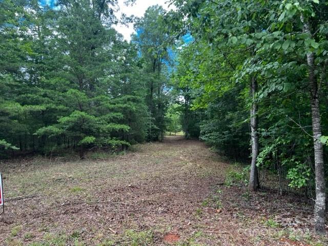 46 N Park Ln, Mill Spring, NC 28756 - photo 1