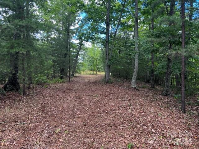 46 N Park Ln, Mill Spring, NC 28756 - photo 2