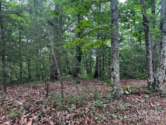46 N Park Ln, Mill Spring, NC 28756 - photo 3