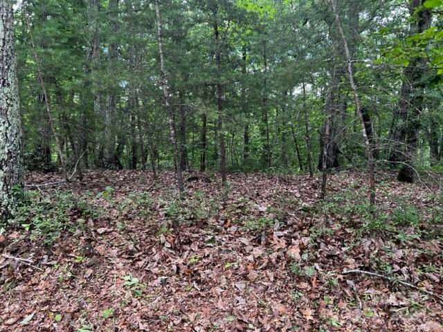 46 N Park Ln, Mill Spring, NC 28756 - photo 4