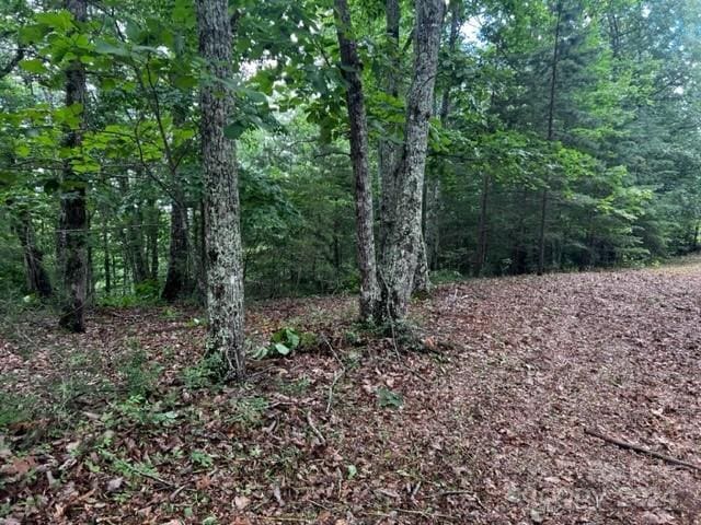 46 N Park Ln, Mill Spring, NC 28756 - photo 5