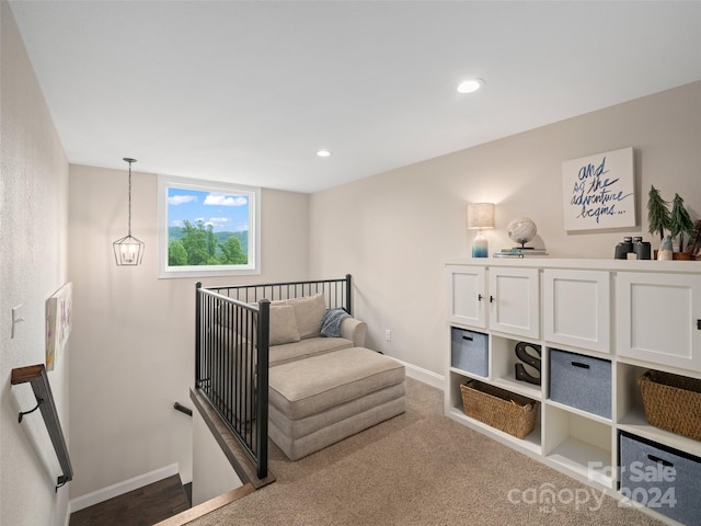 bedroom featuring carpet