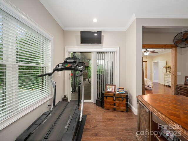1590 S 226th Hwy, Bakersville, NC 28705 - workout room with ornamental molding, a healthy amount of sunlight, and wood finished floors