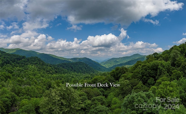 LOT8 Mountain Gait Dr, Mars Hill NC, 28754 land for sale