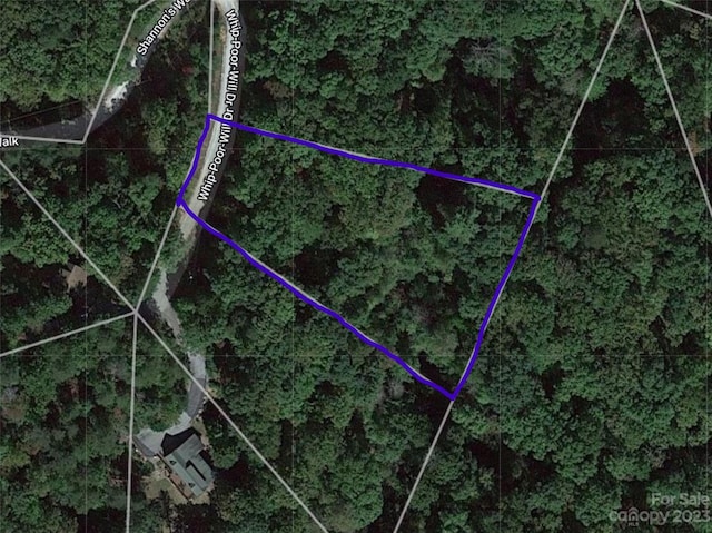 LOT301 Whippoorwill Dr, Lake Lure NC, 28746 land for sale