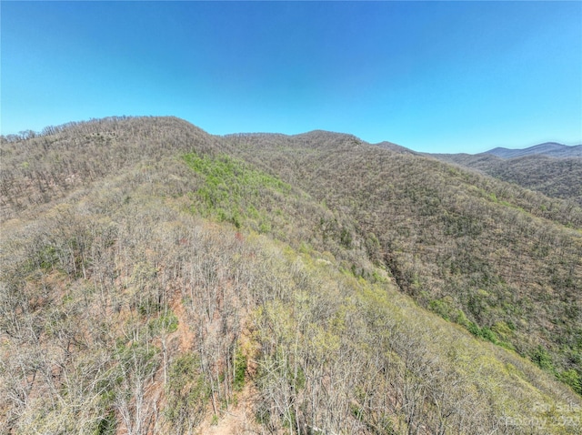 TBD Moses Creek Rd, Cullowhee NC, 28723 land for sale