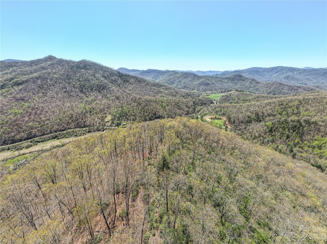 Listing photo 3 for TBD Moses Creek Rd, Cullowhee NC 28723