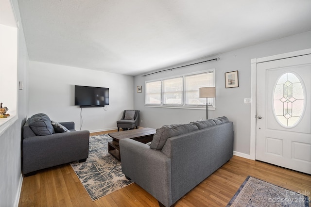 living room featuring light hardwood / wood-style flooring