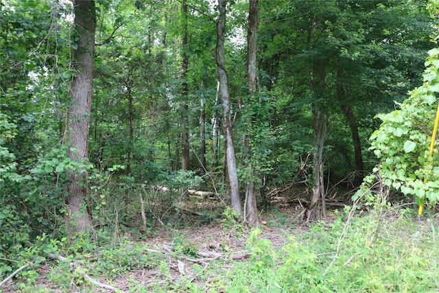 LOT19 Commercial Dr, Forest City, NC 28043