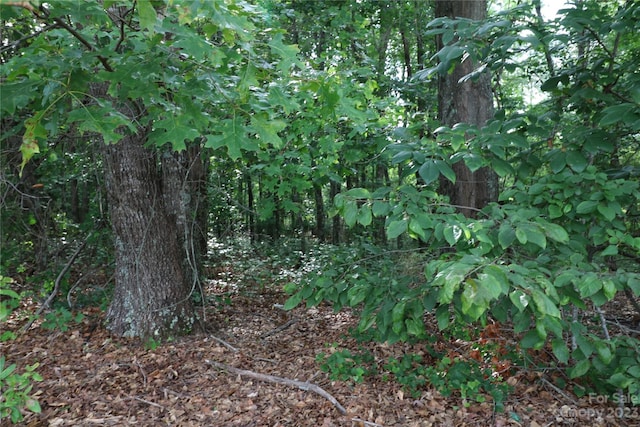 LOT23 Commercial Dr, Forest City, NC 28043